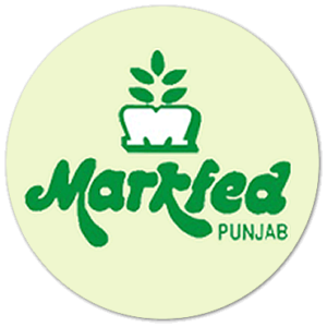 Markfed Punjab Recruitment 2021