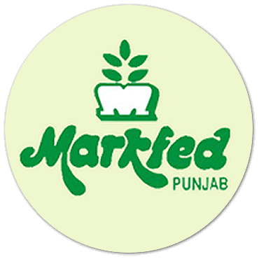 Markfed Punjab Recruitment 2021