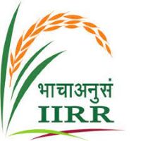 ICAR IIRR Recruitment